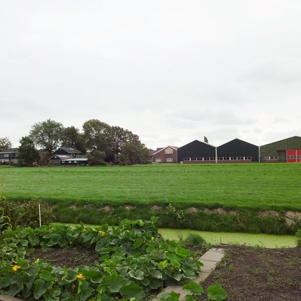 Bernhardstraat 17, Avenhorn