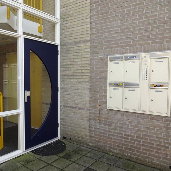 Dorsvlegel 36, De Goorn