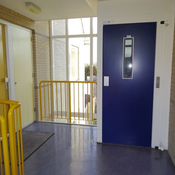 Dorsvlegel 36, De Goorn