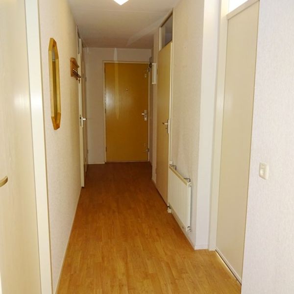 Dorsvlegel 36, De Goorn