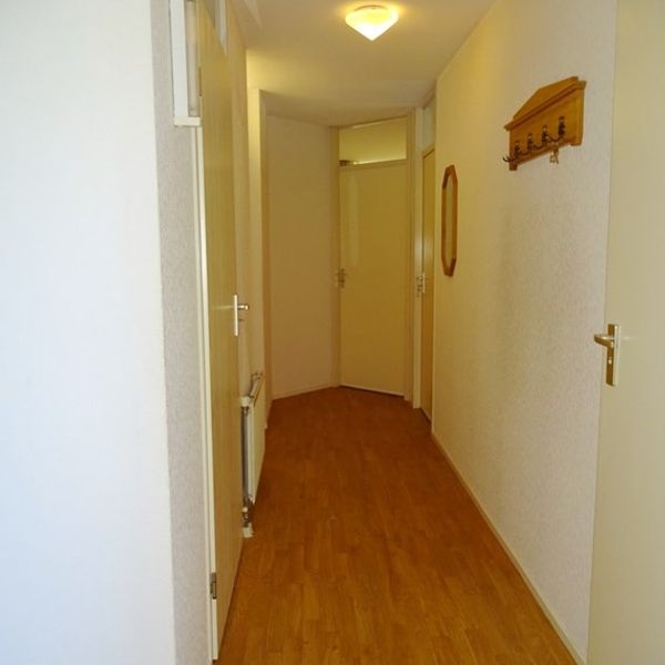 Dorsvlegel 36, De Goorn