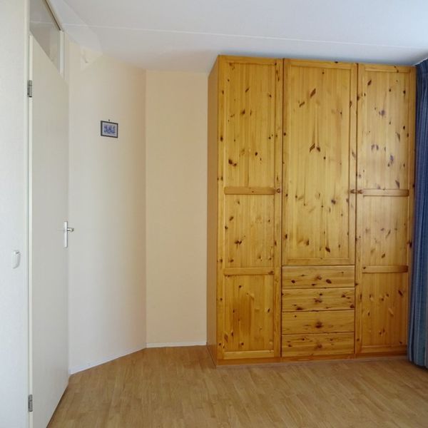 Dorsvlegel 36, De Goorn