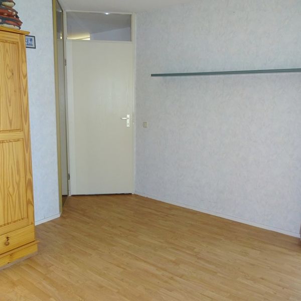 Dorsvlegel 36, De Goorn