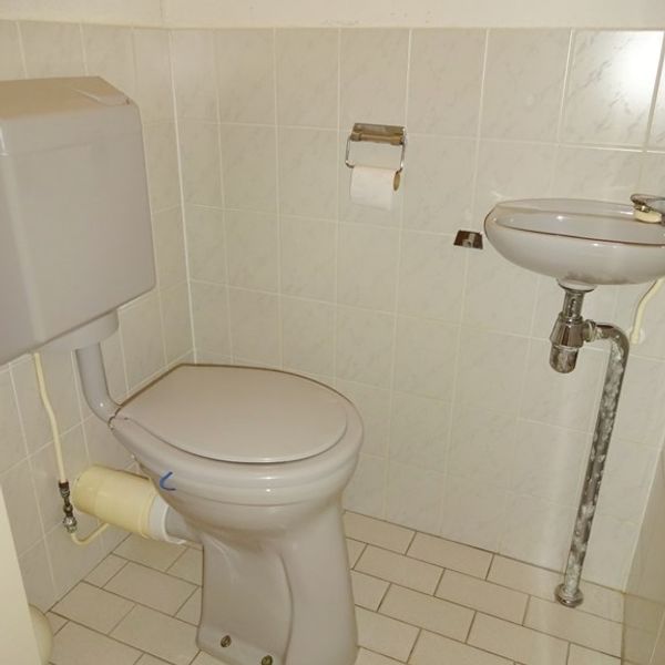 Dorsvlegel 36, De Goorn