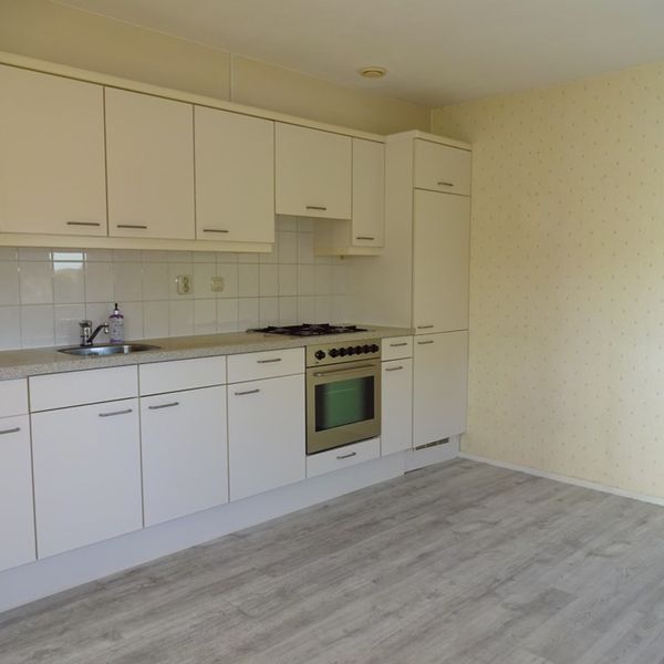 Dorsvlegel 36, De Goorn