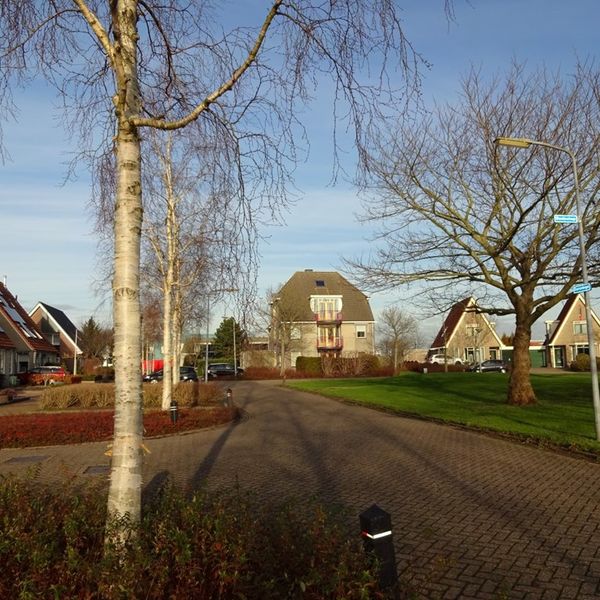 Dorsvlegel 36, De Goorn