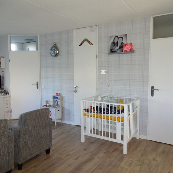 Dorsvlegel 51, De Goorn