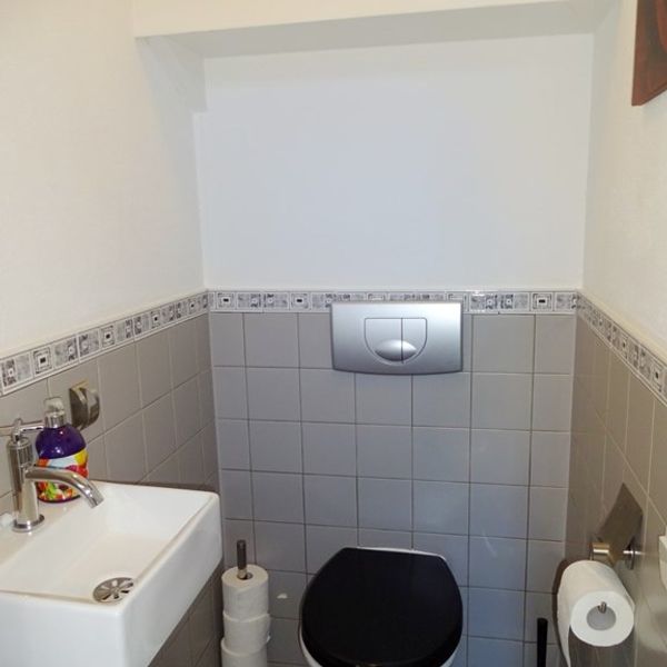 Dorsvlegel 51, De Goorn