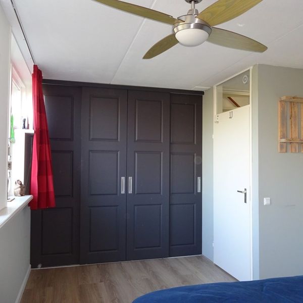 Dorsvlegel 51, De Goorn