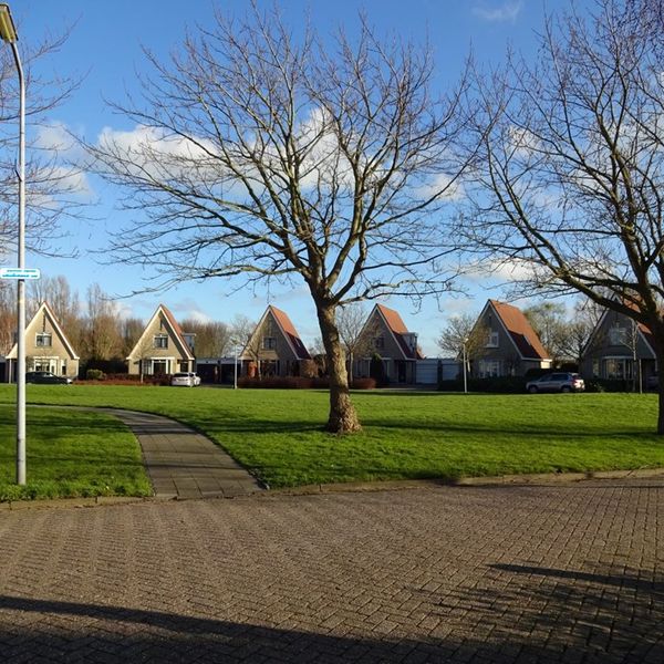 Dorsvlegel 51, De Goorn