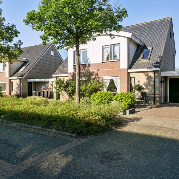 Meerval 11, Avenhorn