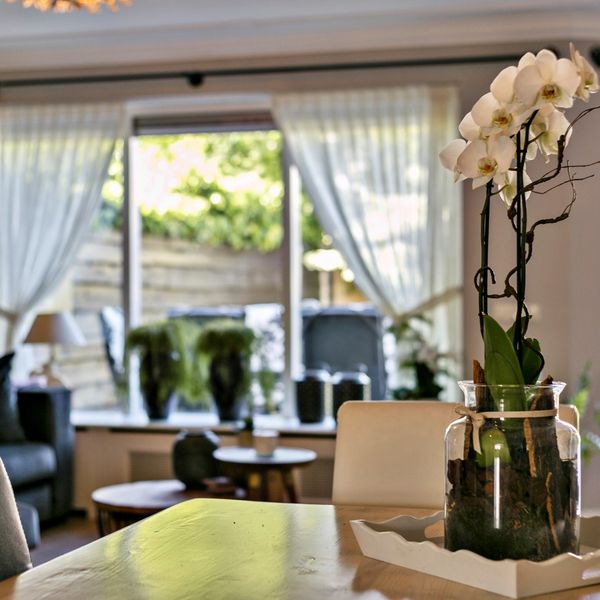 Meerval 11, Avenhorn