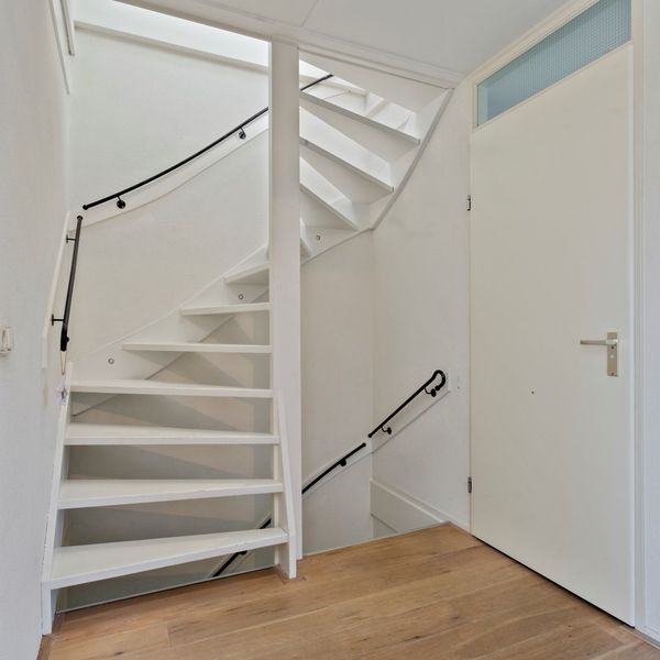 Meerval 11, Avenhorn