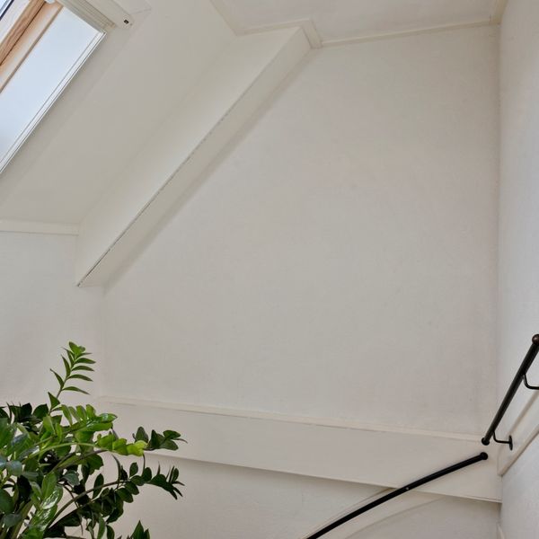 Meerval 11, Avenhorn