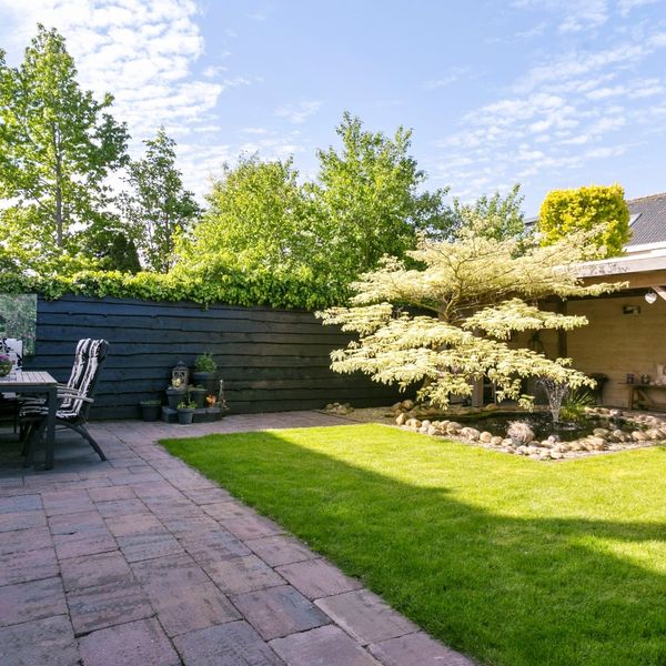 Meerval 11, Avenhorn