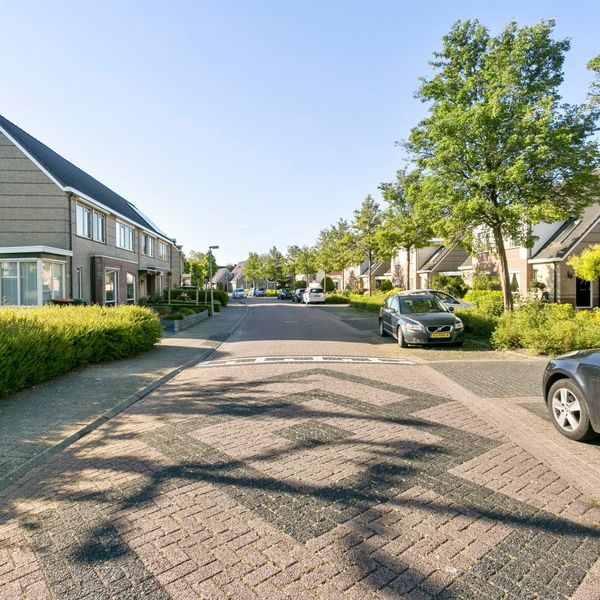 Meerval 11, Avenhorn