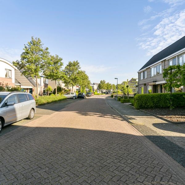 Meerval 11, Avenhorn