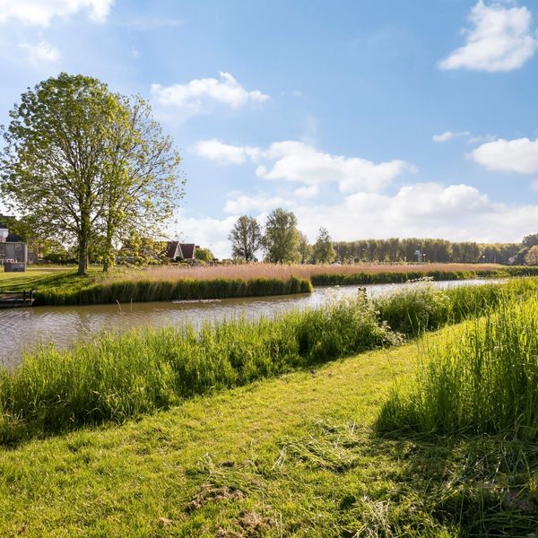 Meerval 11, Avenhorn