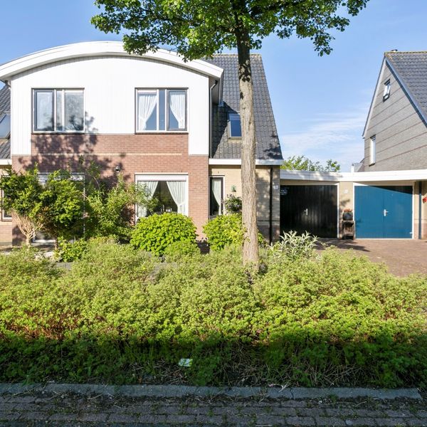 Meerval 11, Avenhorn