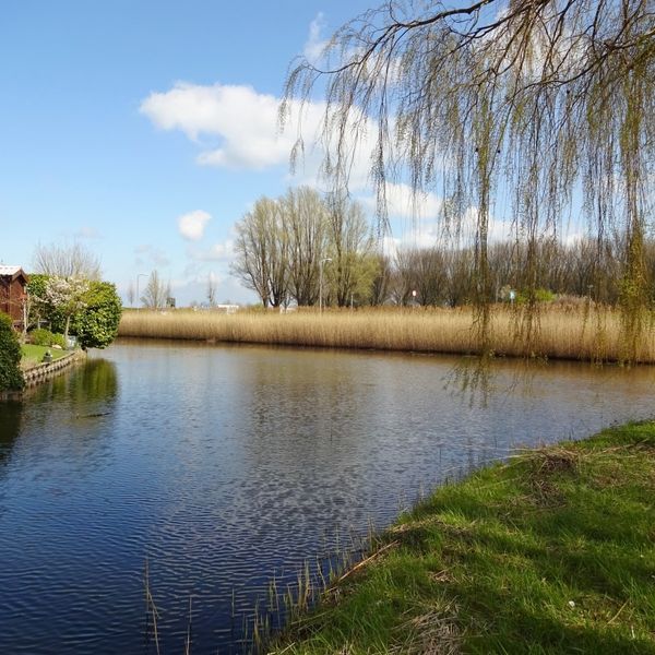 Gaffel 3, De Goorn