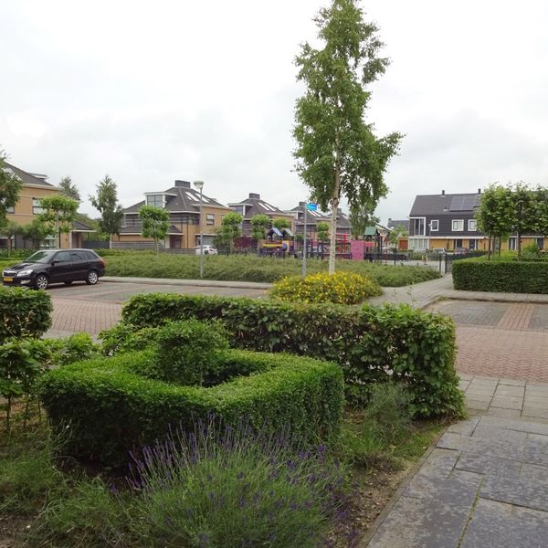 Reukgras 19, De Goorn
