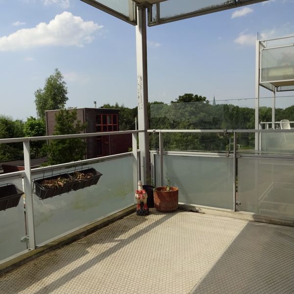 Kolblei 304, Avenhorn