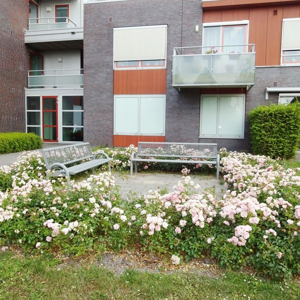 Kolblei 304, Avenhorn