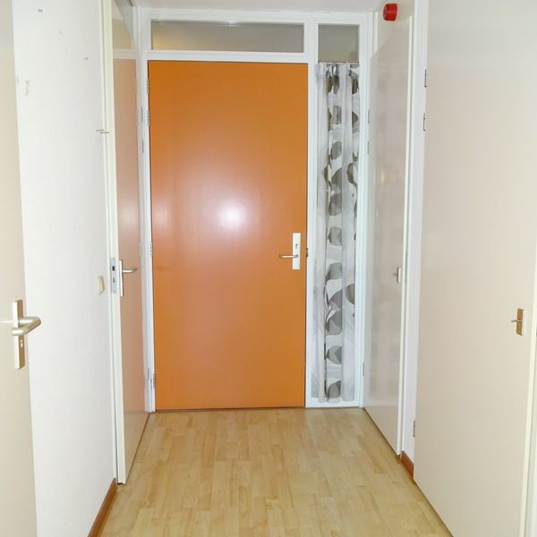 Kolblei 304, Avenhorn