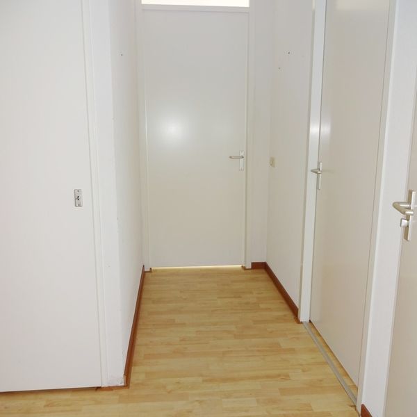 Kolblei 304, Avenhorn