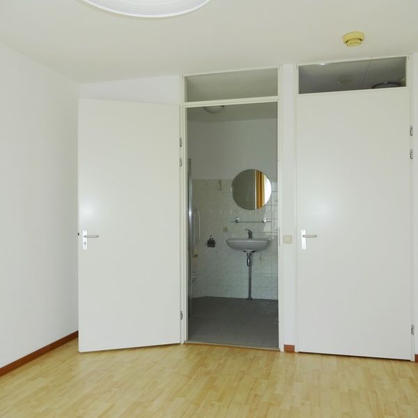 Kolblei 304, Avenhorn