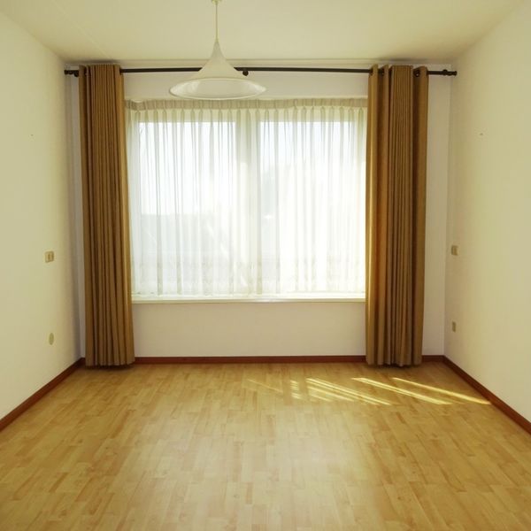 Kolblei 304, Avenhorn