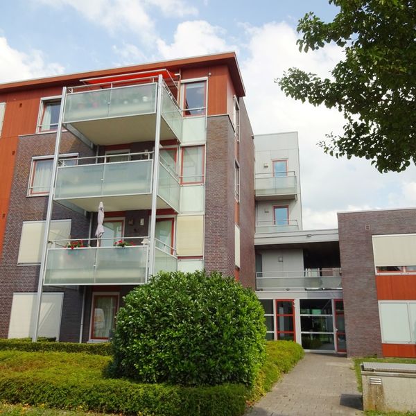 Kolblei 304, Avenhorn