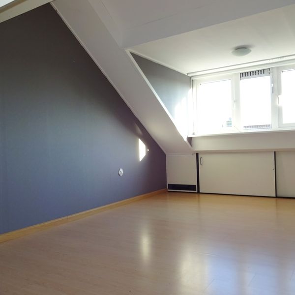 Molenhof 44, Avenhorn
