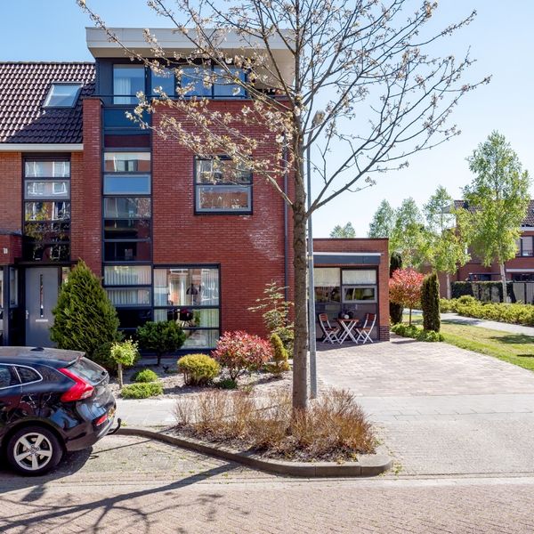 Timothee 20, De Goorn