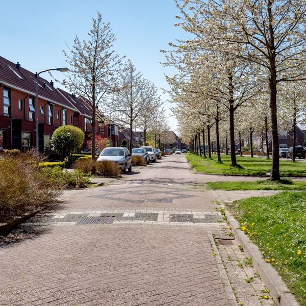 Timothee 20, De Goorn