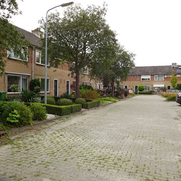 De Hoef 8, Avenhorn