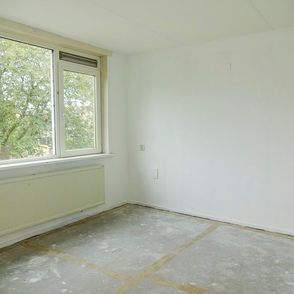 De Hoef 8, Avenhorn