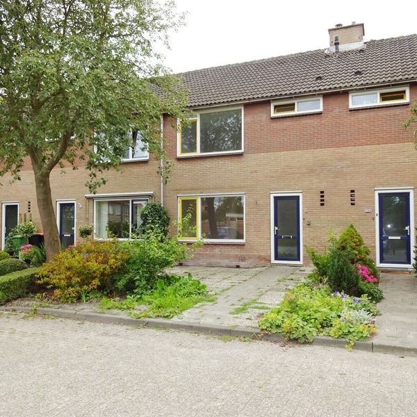 De Hoef 8, Avenhorn