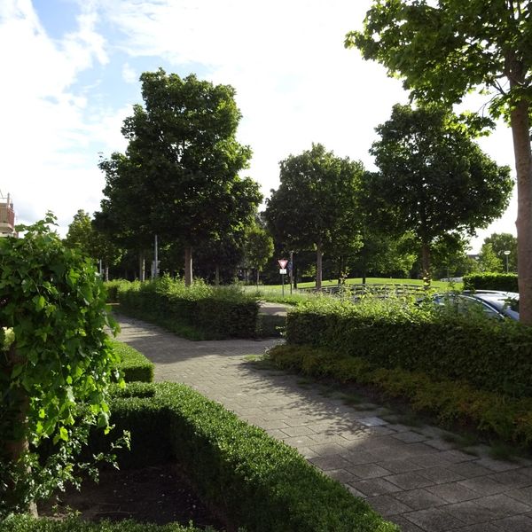 Rietvoornlaan 68, Avenhorn