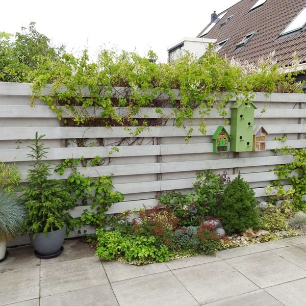 Timothee 26, De Goorn