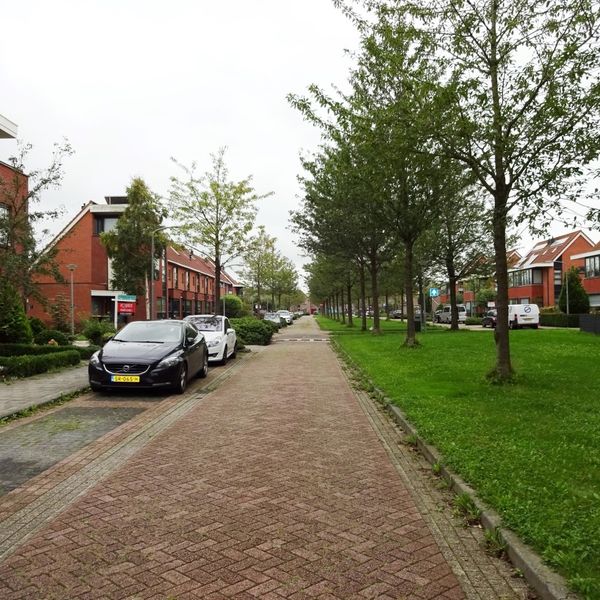 Timothee 26, De Goorn