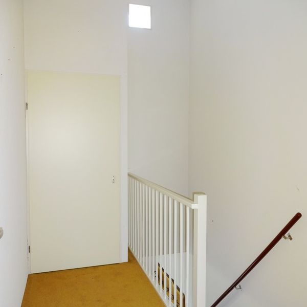 Serpeling 6, Avenhorn