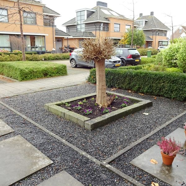 Trilgras 11, De Goorn