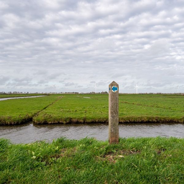 Pennekamplaan 55, Oosterblokker