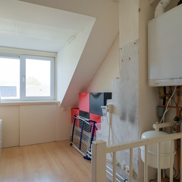De Fuik 23, Avenhorn
