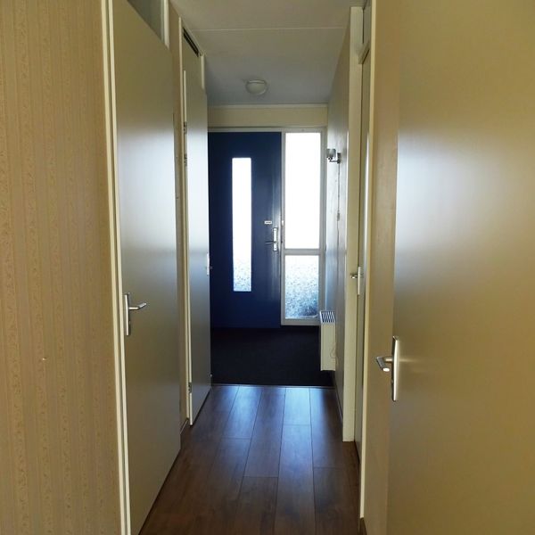 Vijverhof 74, Avenhorn