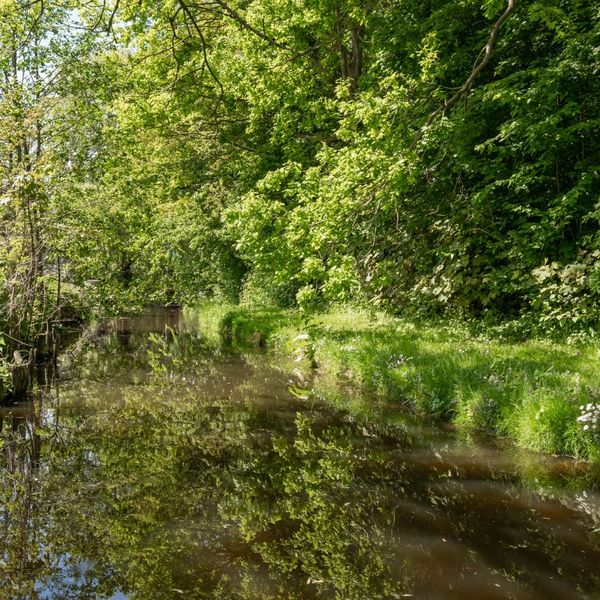 IJselmeerdijk 8, Scharwoude