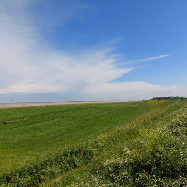 IJselmeerdijk 8, Scharwoude