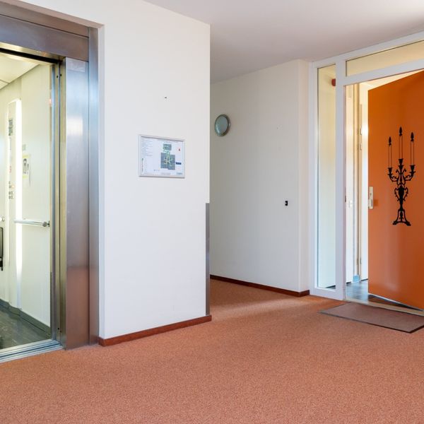 Kolblei 204, Avenhorn