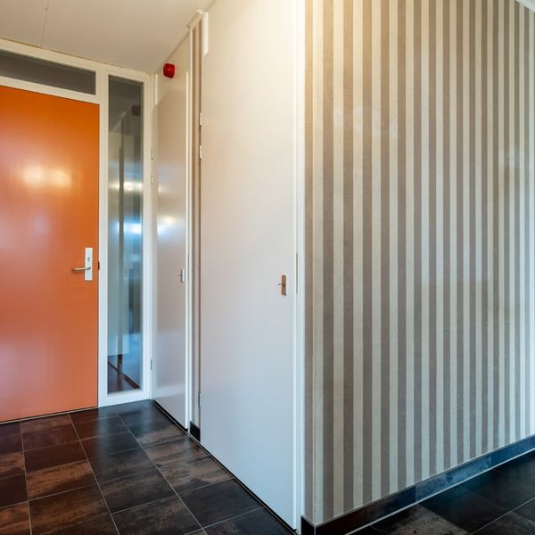 Kolblei 204, Avenhorn